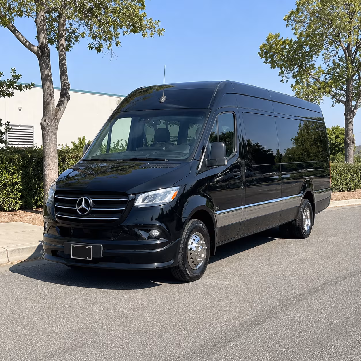 how vehicle type and group size affect sprinter van rental rates in topeka