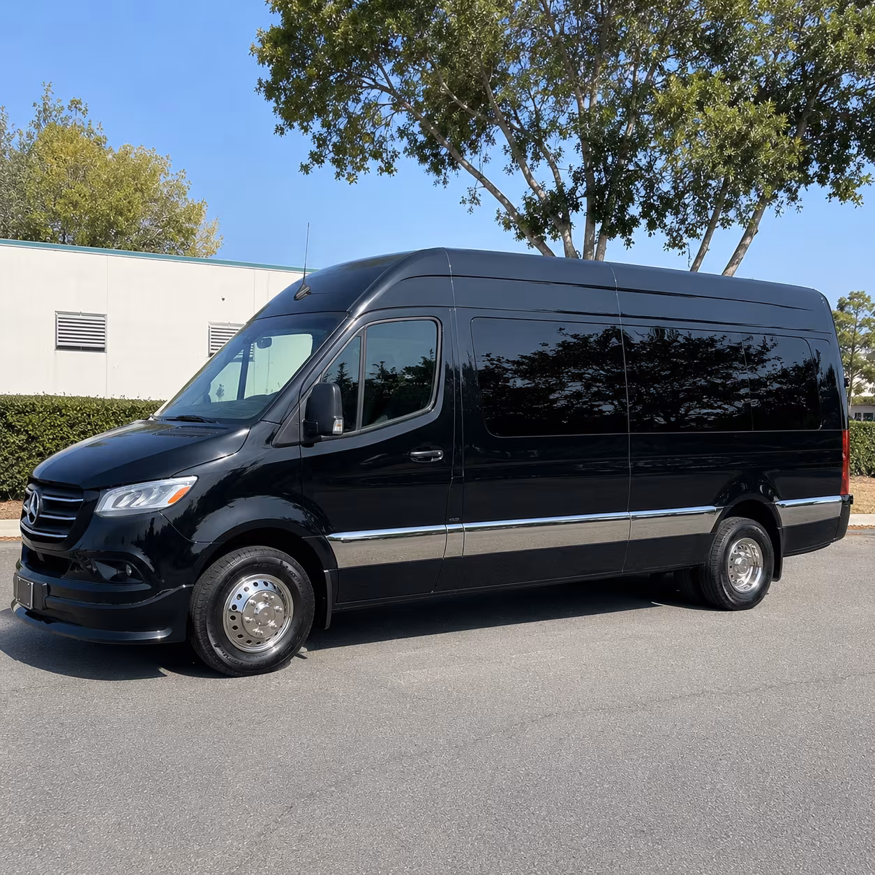 topeka 10 passenger sprinter van